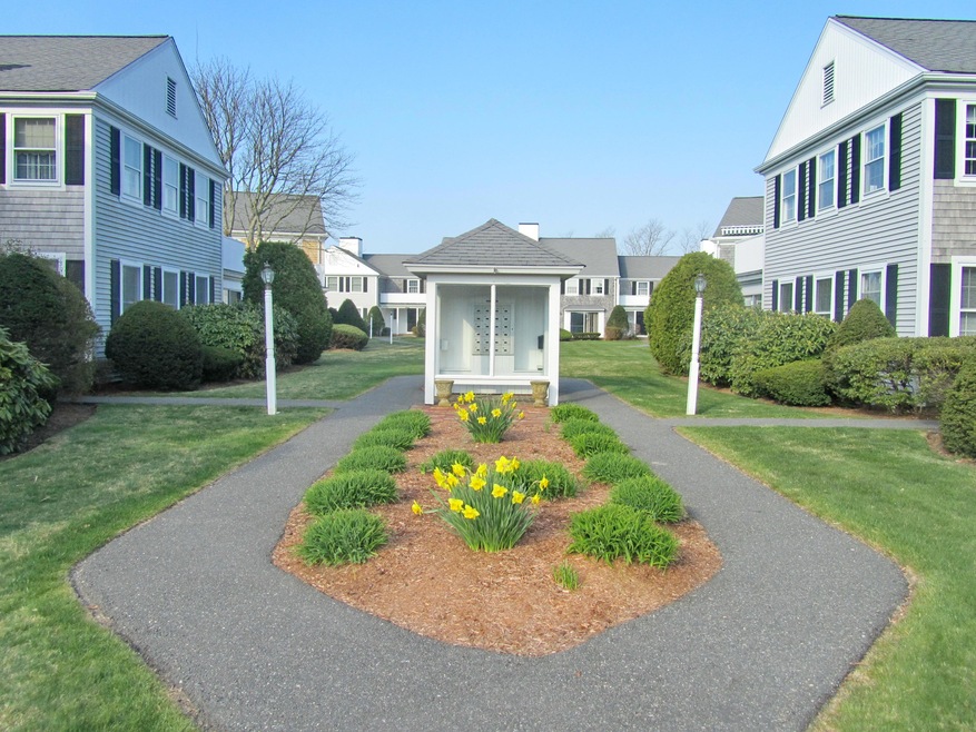 Belvedere Entry