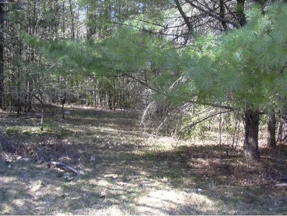 4 Country Ln, Hebron, NH 03241 - photo 1