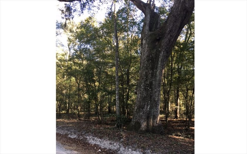 0 Sante fe Dr unit 96048, Fort White, FL 32038 - photo 1