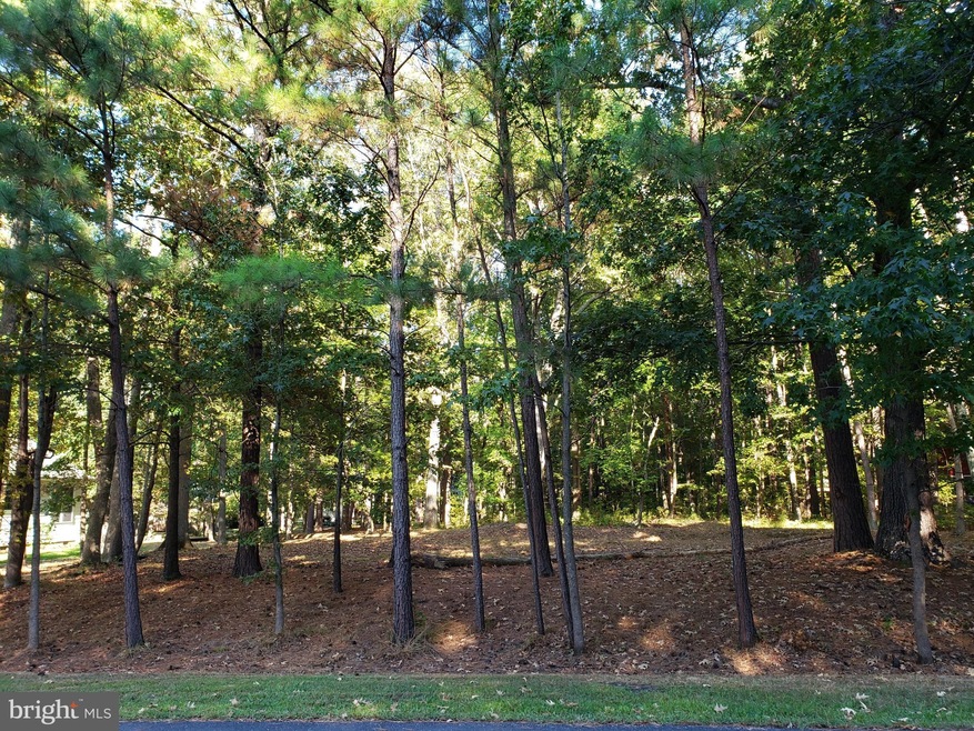 14820 King Charles Dr, Swan Point, MD 20645 - photo 1