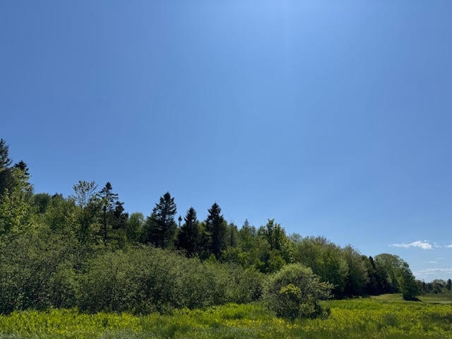 104 County Rd, Eastport, ME 04631 - photo 1