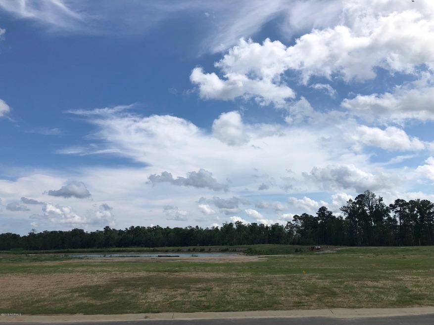 5317 Barcroft Lake Dr, Leland, NC 28451 - photo 1