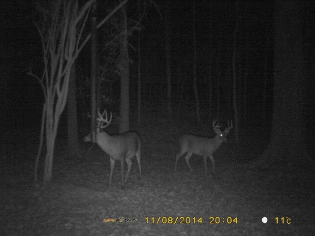 3128 Pike 93 Central, McComb, MS 39648 - photo 1