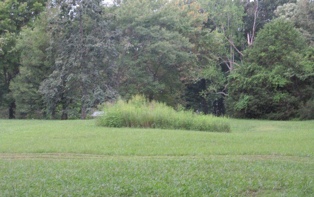 130 Carew Ln, Cookeville, TN 38506 - photo 1