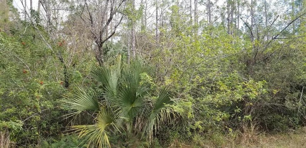 393 Walsh Cir, Other City - In the State of Florida, FL 33972 - photo 1