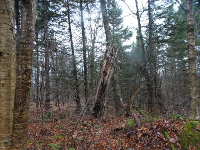 823 Baird Rd, Newark, VT 05871 - photo 1