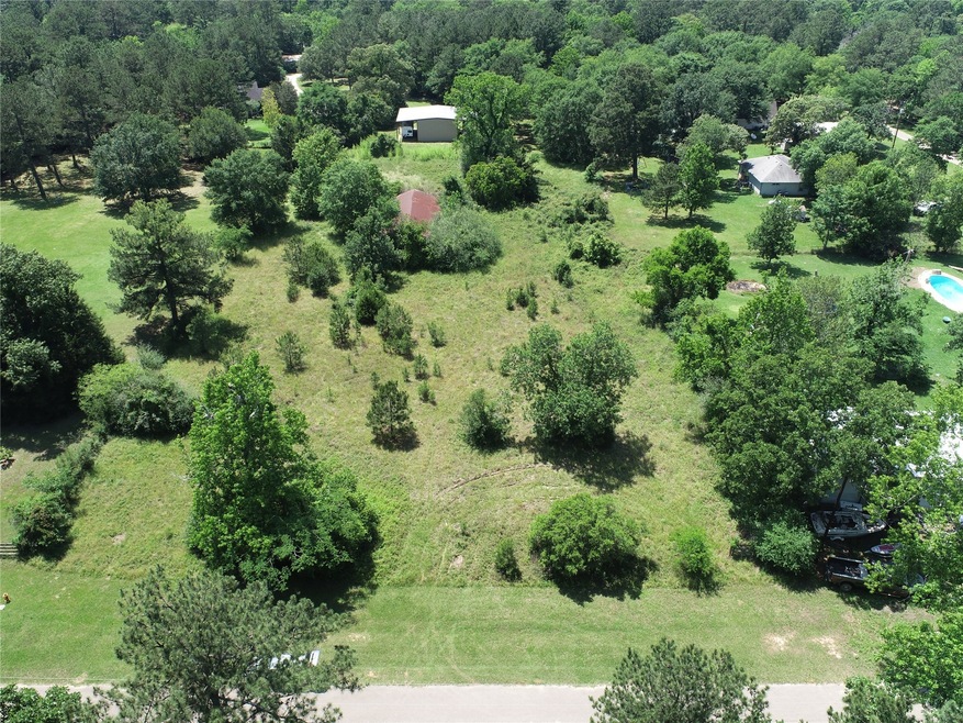 15380 Hickory Ridge Loop, Montgomery, TX 77316 - photo 1