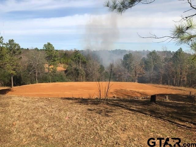 13149 Fm 848, Whitehouse, TX 75791 - photo 1