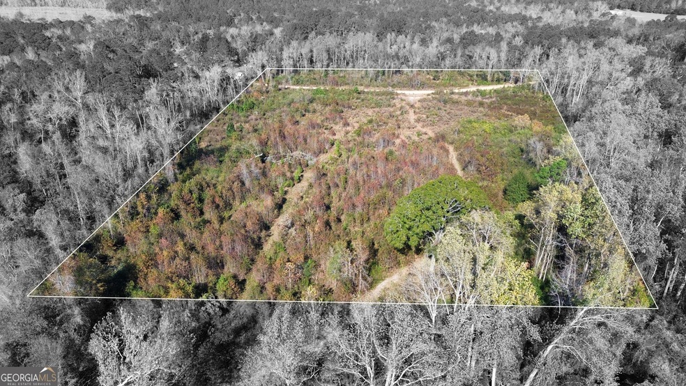 0 George Strickland Rd unit 10626764, Claxton, GA 30417 - photo 1