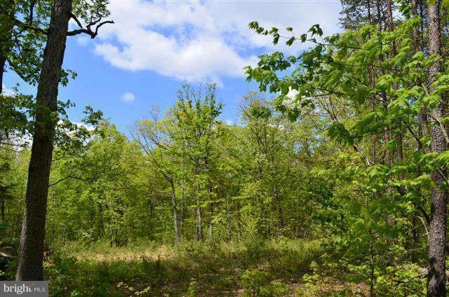 0 Lot 12 Secession Ln unit 1003490994, New Market, VA 22844 - photo 1