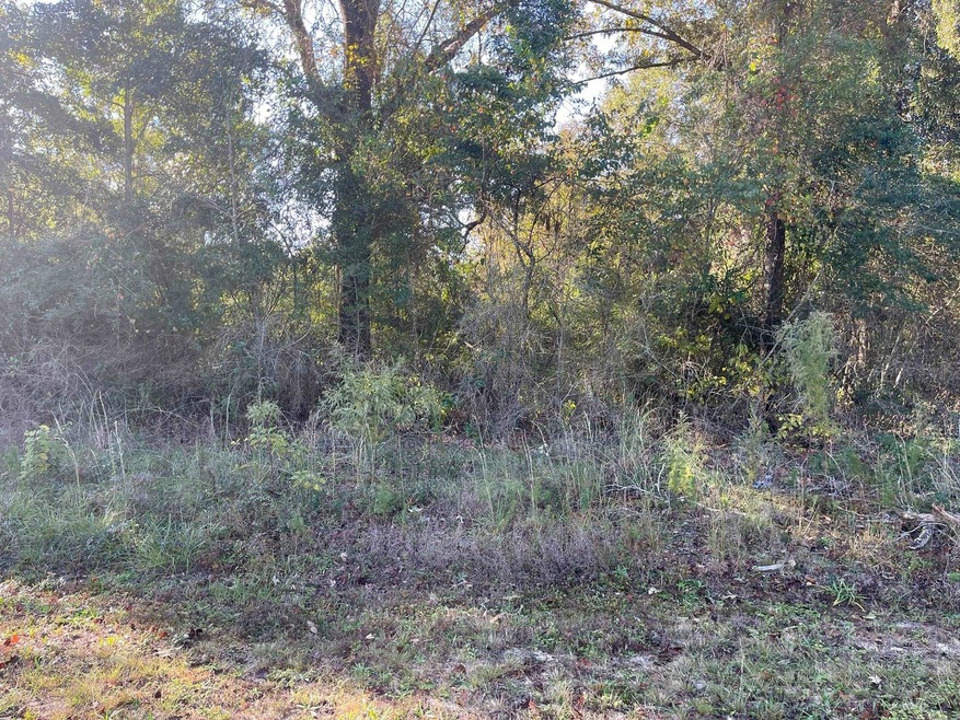 Lots 7 & 8 3rd Ave E, Florala, AL 36442 - photo 1