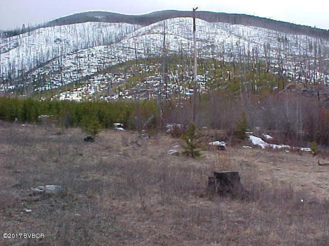 485 Dickson Creek Rd, Conner, MT 59827 - photo 1