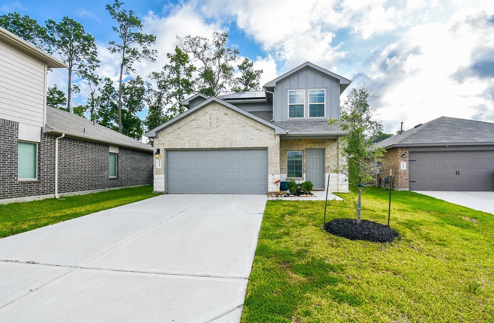 Introducing 16949 Rich Pines!