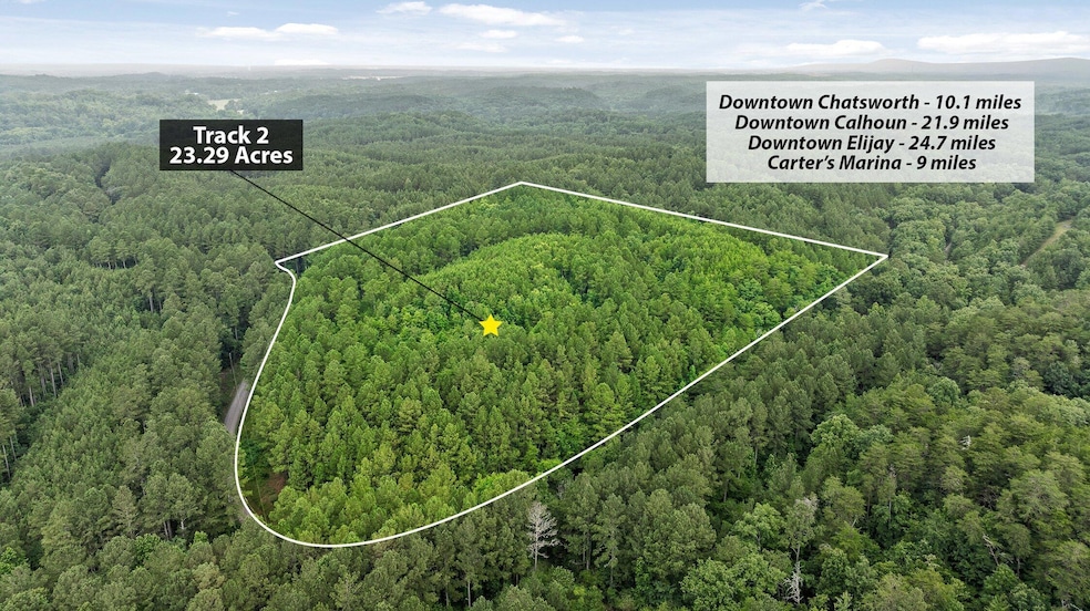 Tract 2 Conniston Rd, Chatsworth, GA 30705 - photo 1