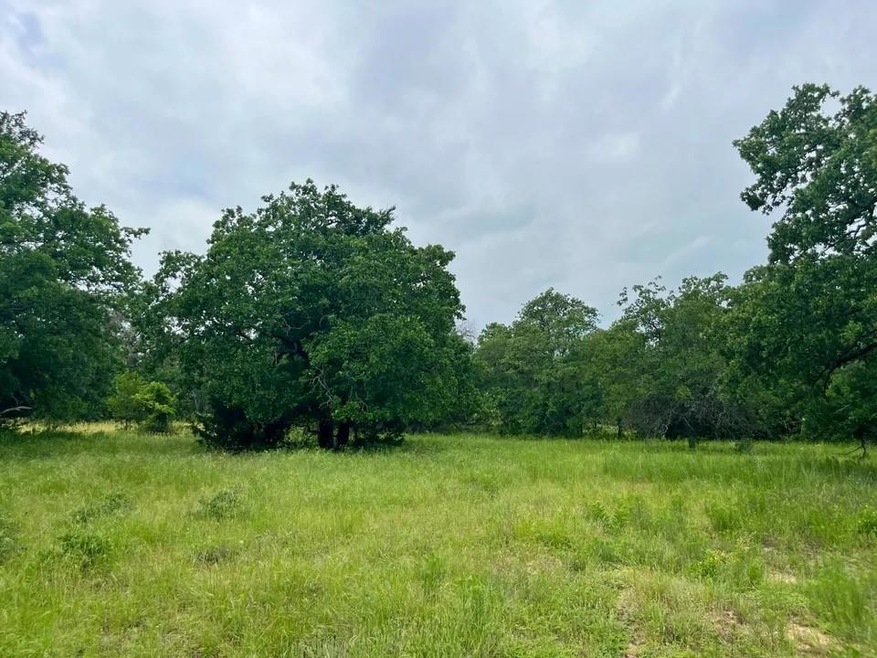 Lot 29 Galway, Poolville, TX 76487 - photo 1