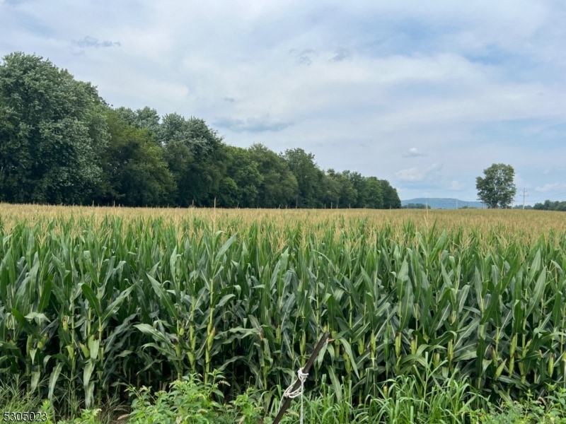 950 Brass Castle Rd, Belvidere, NJ 07823 - photo 1