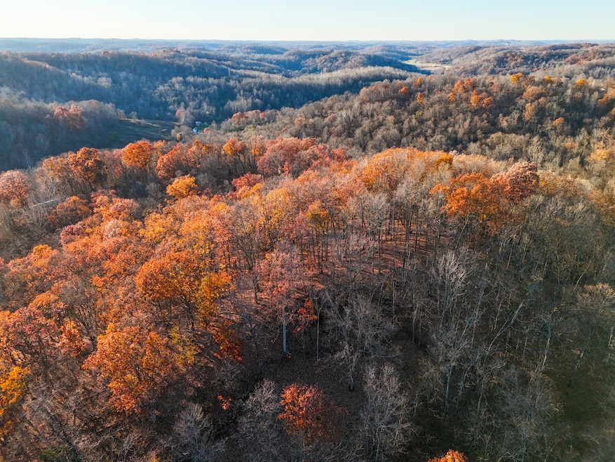 0 Williams Hollow Rd, Crown City, OH 45623 - photo 1