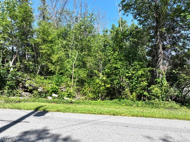 19 E Shore Lake Owassa Rd, Newton, NJ 07860 - photo 1