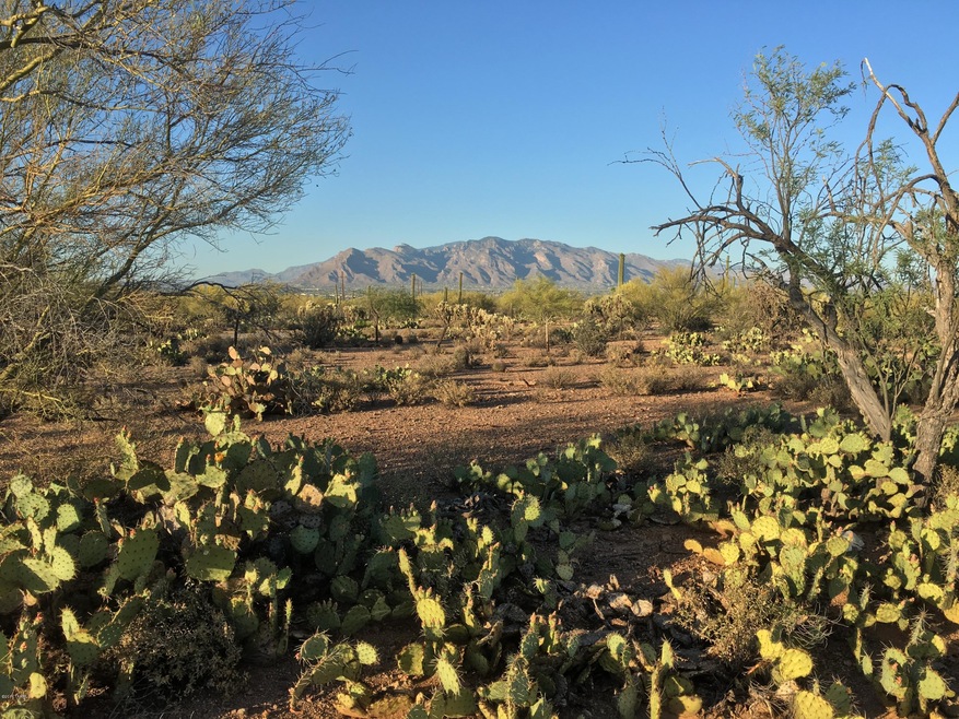 LAZY C RANCH ~ LOT 3