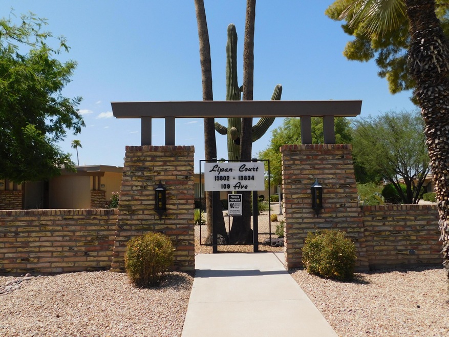 13828 N 109th Ave, Sun City, AZ 85351 - photo 1