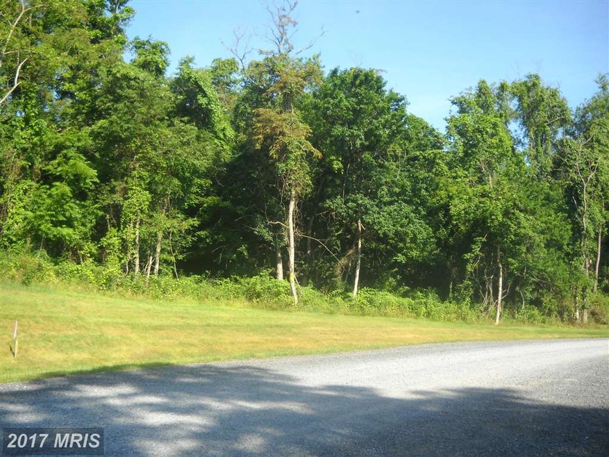 0 Shveda Way unit 1000220577, Shepherdstown, WV 25443 - photo 1