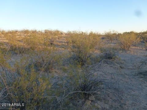 21755 W Gibson Way unit 3, Wickenburg, AZ 85390 - photo 1
