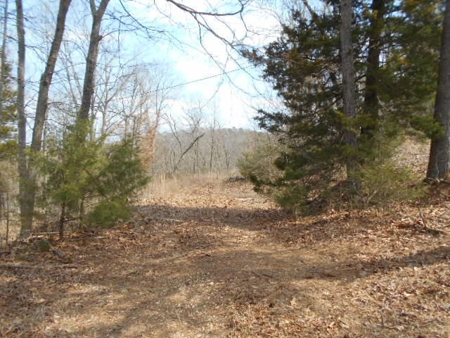 Logging Road