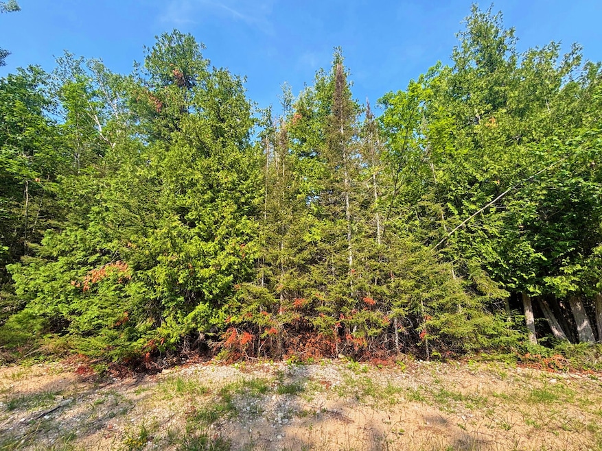 Lot 395 & 396 Balsam Drive