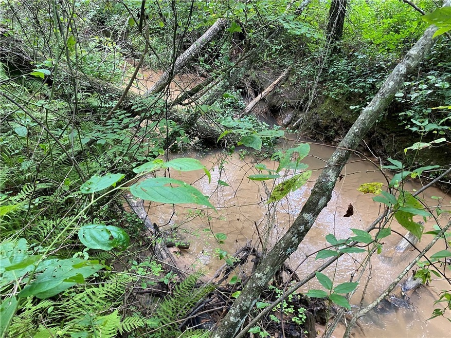 02 S Carolina 11, Tamassee, SC 29686 - photo 1