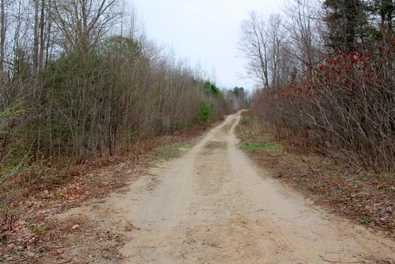 0 Brookfield Road Extension unit 1348673, Turner, ME 04282 - photo 1