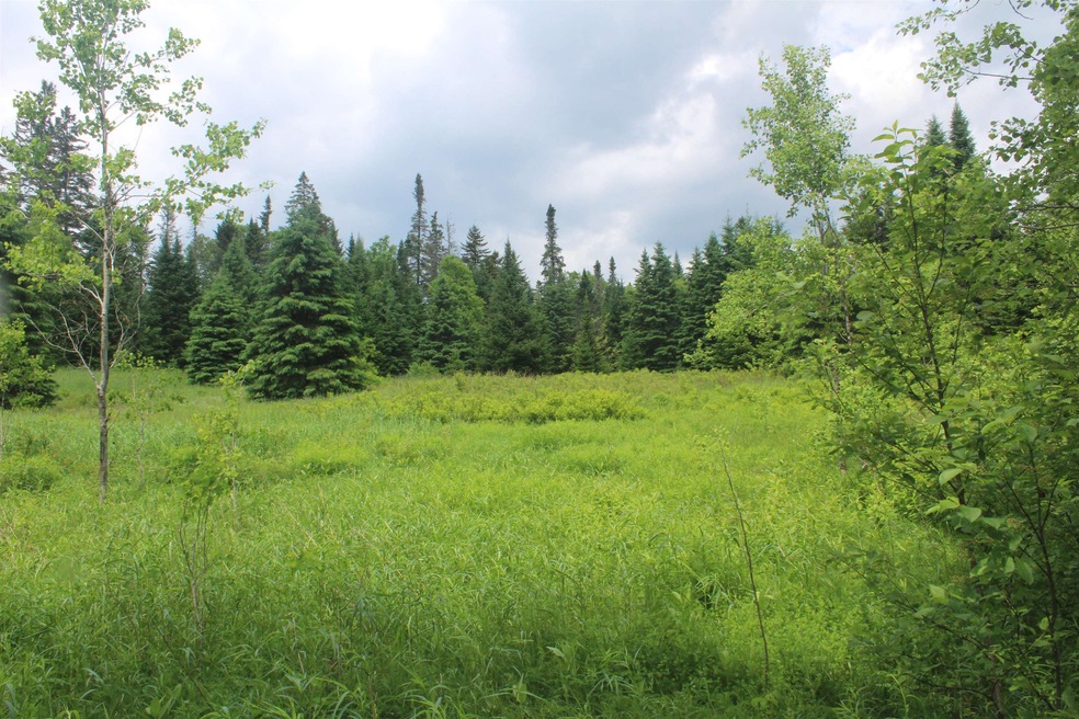 0 Cobb Rd unit 5046229, Walden, VT 05873 - photo 1