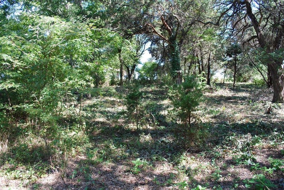 7085 Cedar Valley Dr, Whitney, TX 76692 - photo 1