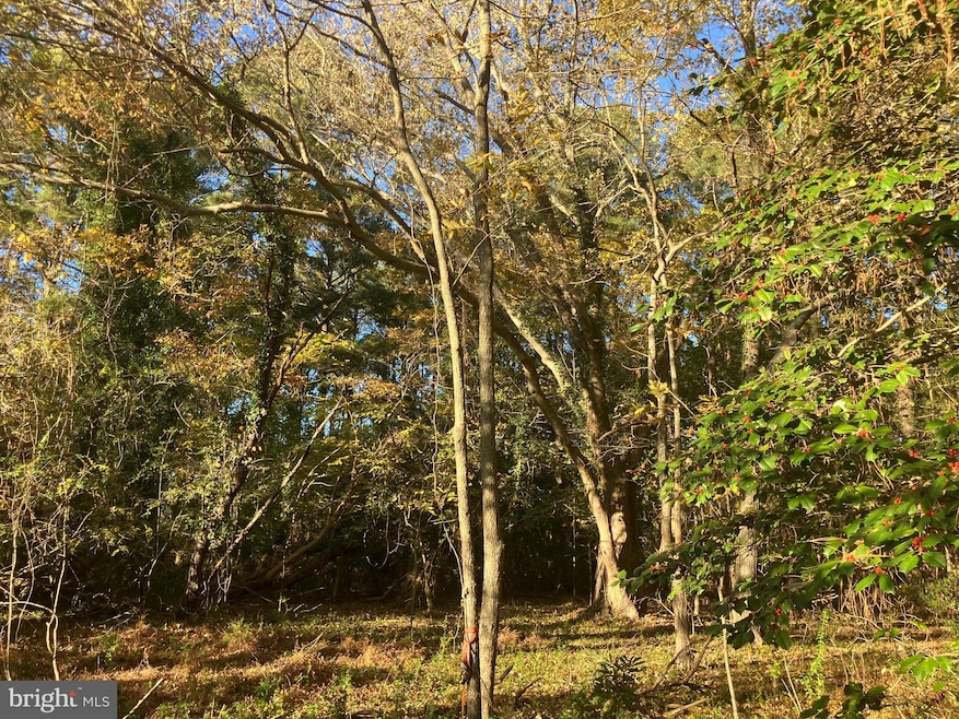 81 Davis Rd, Marion Station, MD 21838 - photo 1