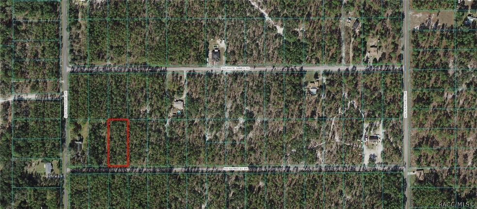 Lot 20 SW Barnacle Dr, Dunnellon, FL 34431 - photo 1