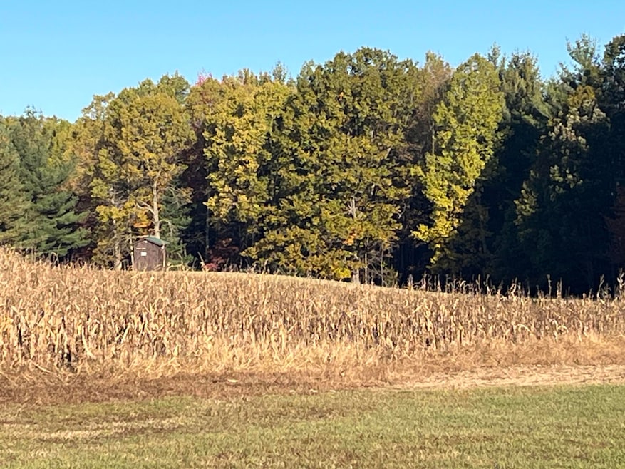 Par A Monroe Rd, Lakeview, MI 48850 - photo 1