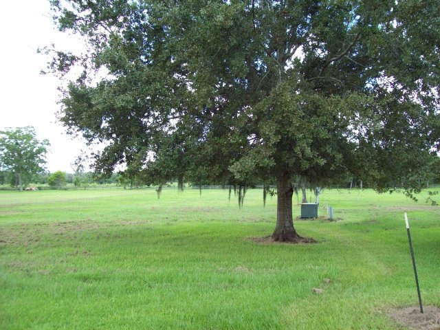 1028 Riverview Ranch Dr, Brazoria, TX 77422 - photo 1