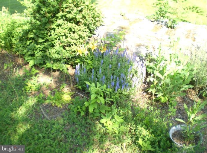 225 Deer Mountain Dr, Harpers Ferry, WV 25425 - photo 1