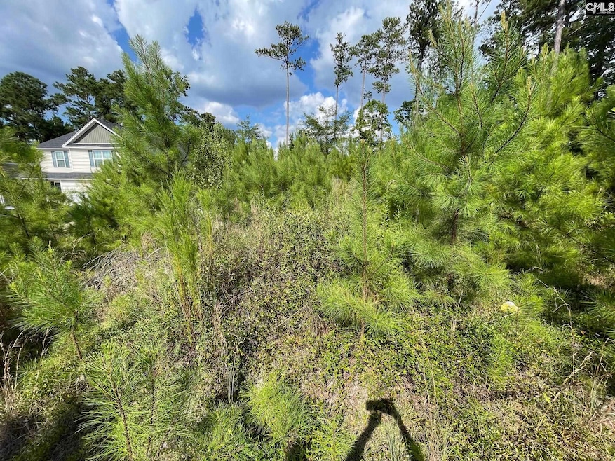 683 Poplar Grove Ln, Columbia, SC 29203 - photo 1