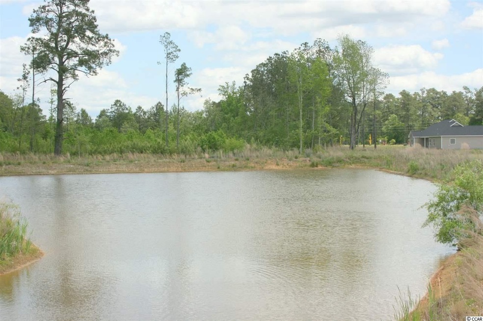 264 Maple Oak Dr unit Hickory 70, Conway, SC 29526 - photo 1