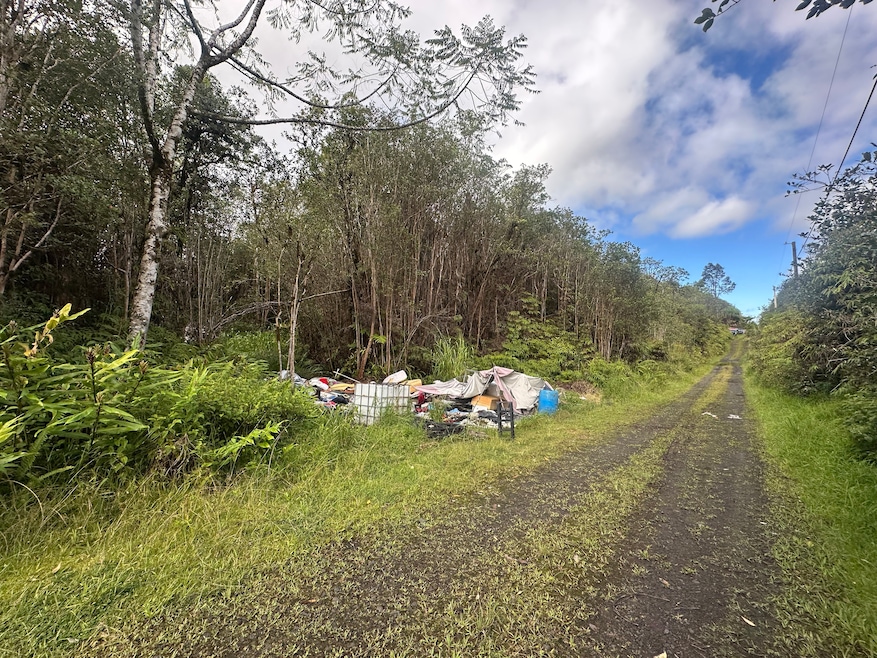 18-1272 Kauai St, Mountain View, HI 96771 - photo 1