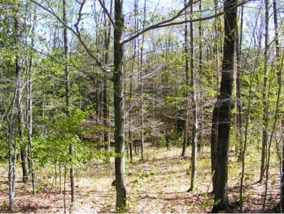 00 Newfane Hill Rd, Newfane, VT 05345 - photo 1