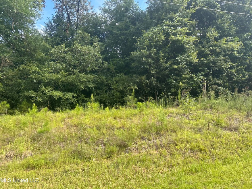 1ac Barton-Agricola Rd, Lucedale, MS 39452 - photo 1