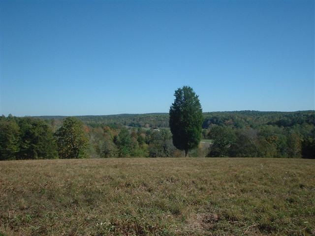 6 Les Ferrell Rd, Stewart, TN 37175 - photo 1