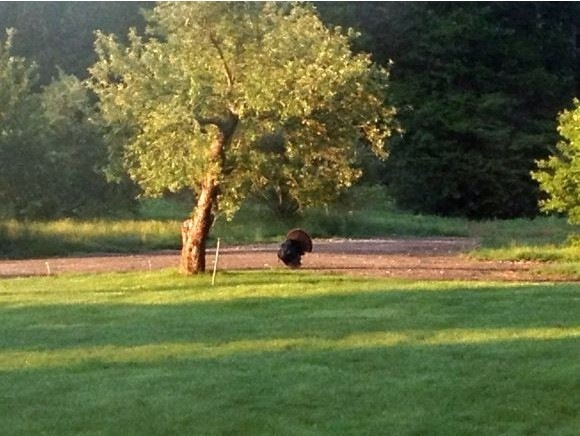 374 Exeter Rd, Hampton, NH 03842 - photo 1