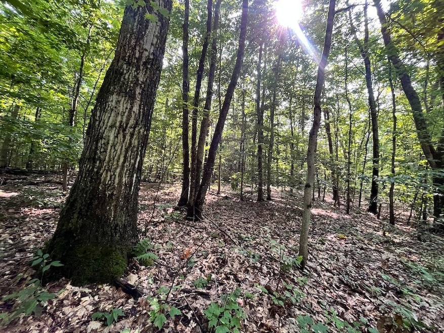 503 Centerville Rd, Pulaski, NY 13142 - photo 1