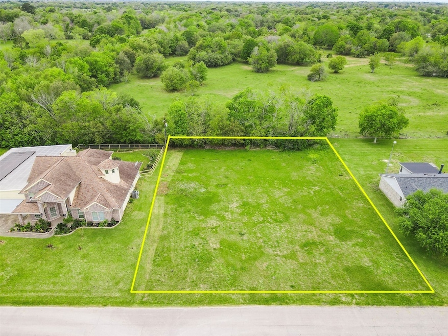 19 Hal Mclain Rd, Manvel, TX 77578 - photo 1
