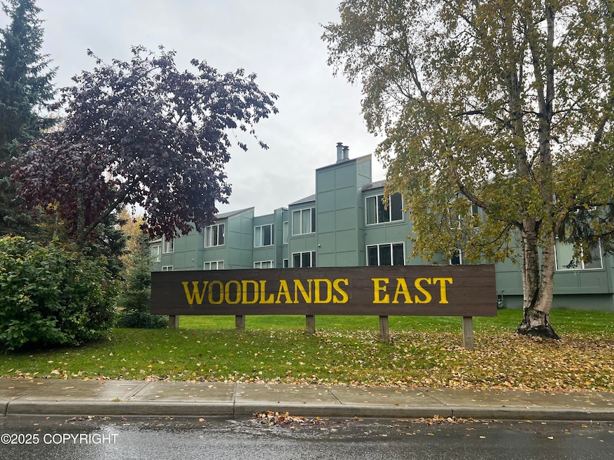 302 Sweetgale Ct unit 302, Anchorage, AK 99518 - photo 1