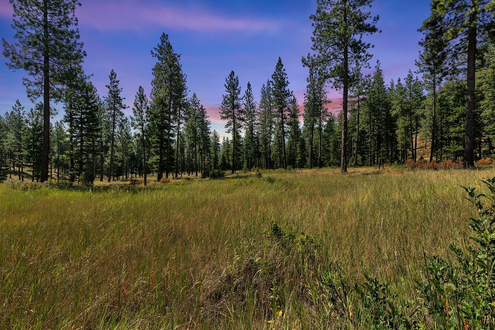 13902 Highland Trail, Alberton, MT 59820 - photo 1