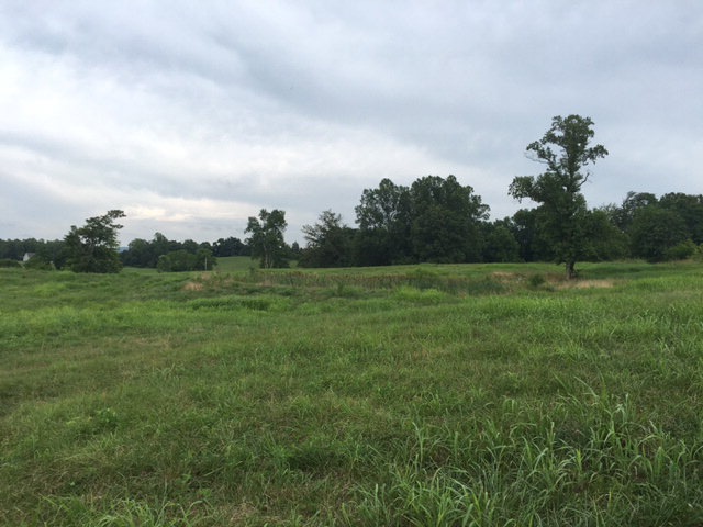 7.7 AC Eckles Cemetery Rd, Livingston, TN 38570 - photo 1