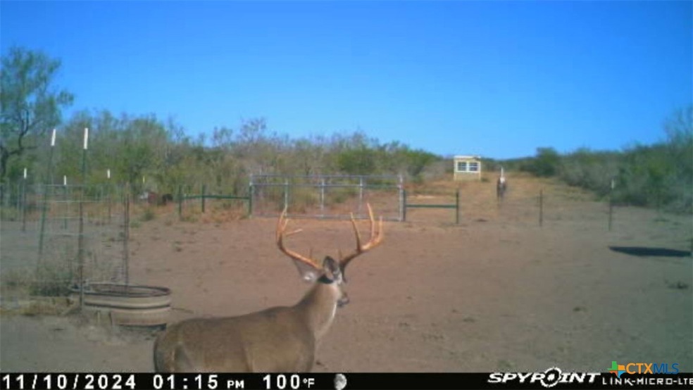 0 Tr 123 Triple T-Bar-l Rch unit 592173, Freer, TX 78341 - photo 1